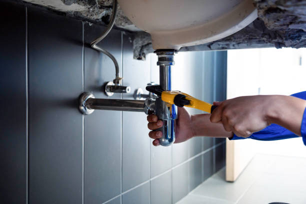 Residential Plumbing Services in Fish Hawk, FL